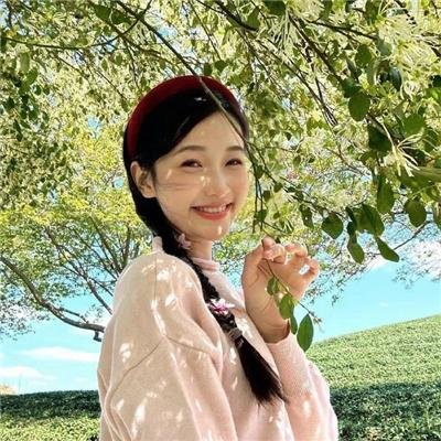 遇见企鹅